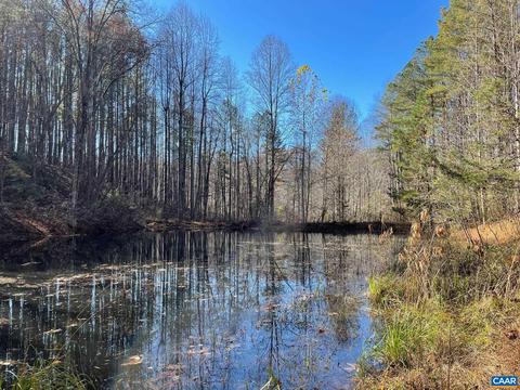 Starvale Ln, Shipman, VA 22971 photo 6