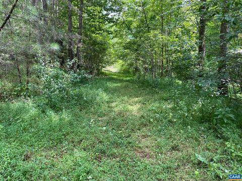 Starvale Ln, Shipman, VA 22971 photo 10
