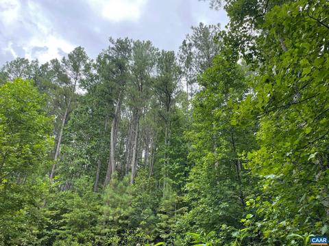 Starvale Ln, Shipman, VA 22971 photo 22