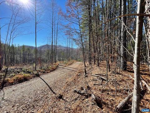 Starvale Ln, Shipman, VA 22971 photo 3