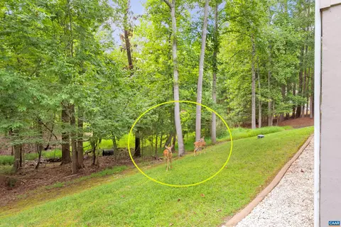 11 Laguna Rd, Palmyra, VA 22963 photo 29