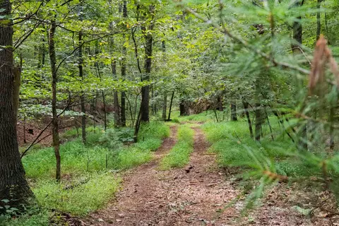 tbd Lot 19 Runions Creek Rd, Rockingham, VA 22801