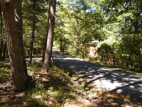 243 Miller Rd, Basye, VA 22810 photo 23