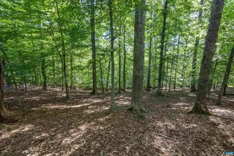 12 Rowell Rd, Palmyra, VA 22963 photo 67