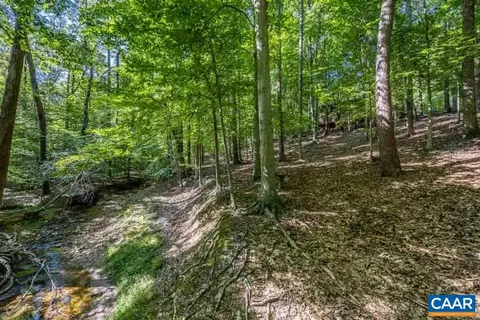 12 Rowell Rd, Palmyra, VA 22963 photo 60
