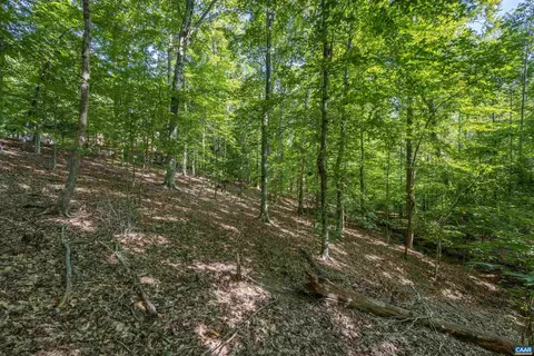 12 Rowell Rd, Palmyra, VA 22963 photo 66