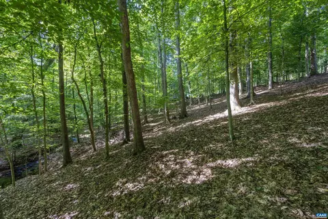 12 Rowell Rd, Palmyra, VA 22963 photo 63
