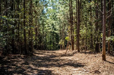Tbd 1 Rockfish River Rd Lot 1, Schuyler, VA 22969