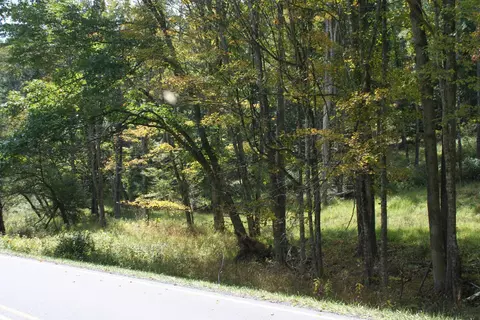 tbd Highland Tpke, Monterey, VA 24465