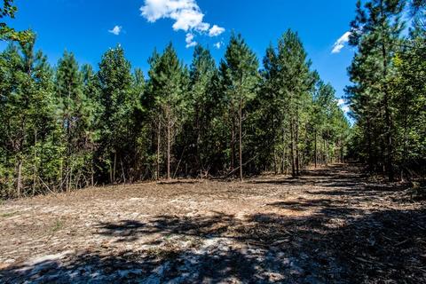 Tbd 2 Rockfish River Rd Lot 2, Schuyler, VA 22969