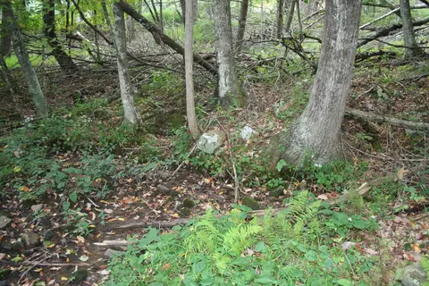 tbd 2 Highland Tpke, Monterey, VA 24465 photo 12