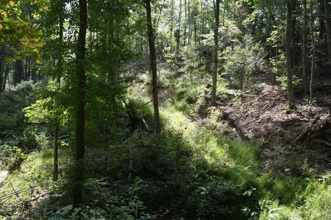 tbd 2 Highland Tpke, Monterey, VA 24465 photo 6