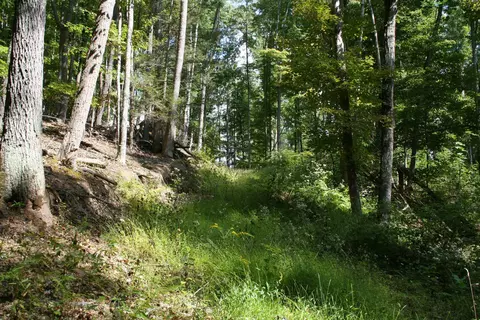 tbd 2 Highland Tpke, Monterey, VA 24465 photo 7