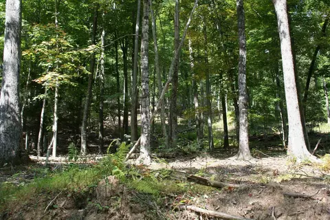 tbd 2 Highland Tpke, Monterey, VA 24465 photo 5
