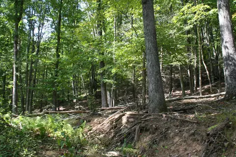 tbd 2 Highland Tpke, Monterey, VA 24465