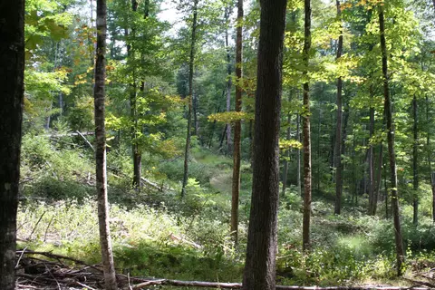 tbd 2 Highland Tpke, Monterey, VA 24465 photo 3