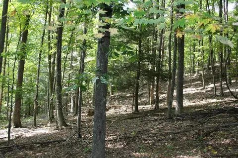 tbd 2 Highland Tpke, Monterey, VA 24465 photo 4