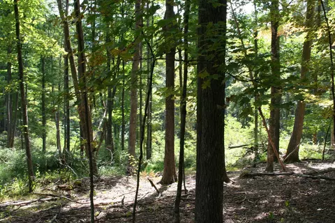 tbd 2 Highland Tpke, Monterey, VA 24465 photo 2