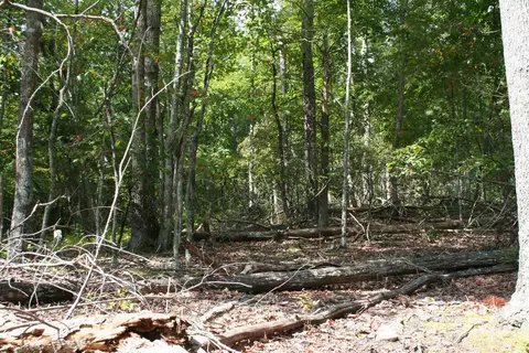 tbd 2 Highland Tpke, Monterey, VA 24465 photo 10