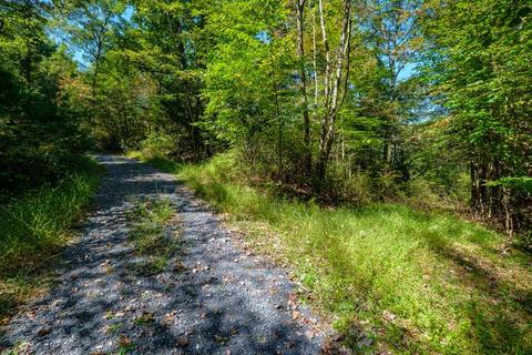 Lot 3 Old Resort Ln, Hinton, VA 22831
