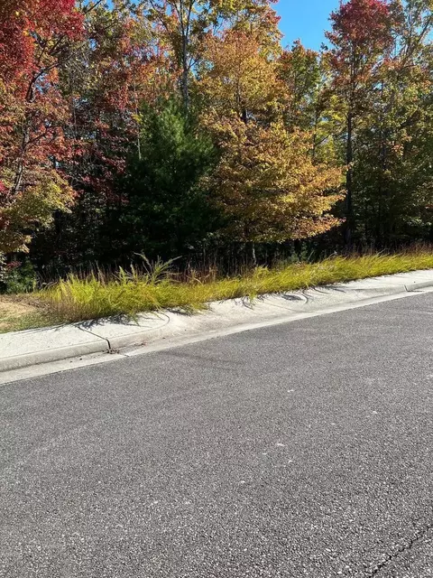 0 Creek Valley Dr, Basye, VA 22810