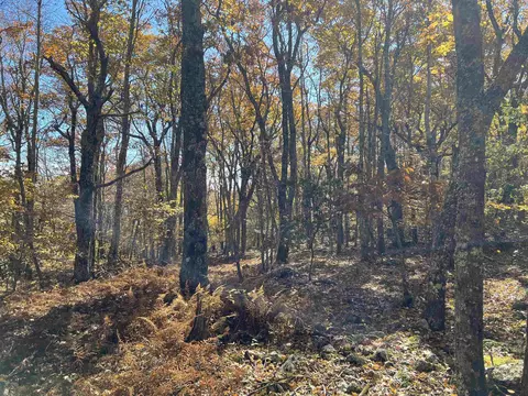 tbd Sounding Knob Rd, Monterey, VA 24465
