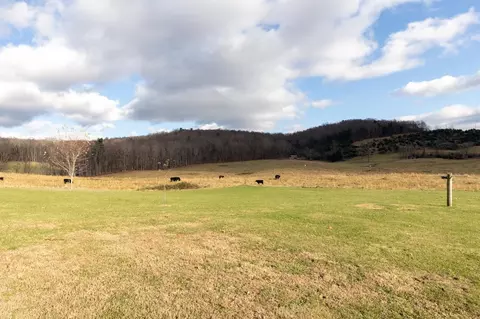 1052 Dutch Hollow Rd, Raphine, VA 24472 photo 41