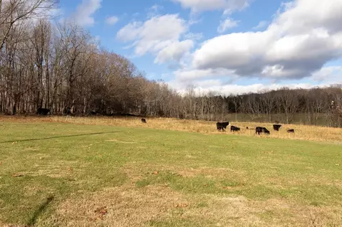 1052 Dutch Hollow Rd, Raphine, VA 24472 photo 42