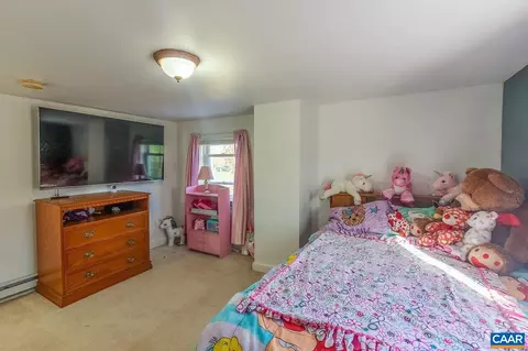 568 Fleeburg Loop, Shenandoah, VA 22849 photo 27