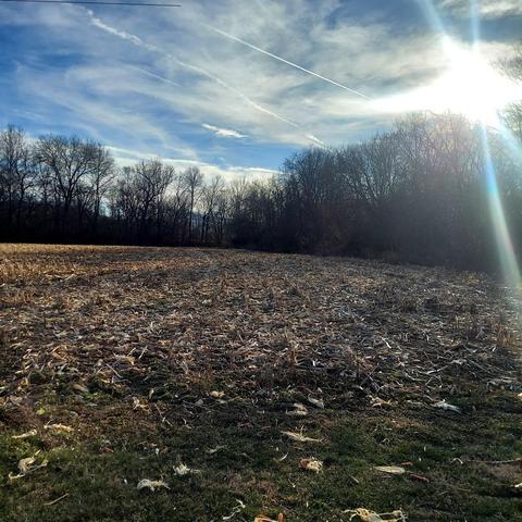 Tbd Wirt Ave, Elkton, VA 22827