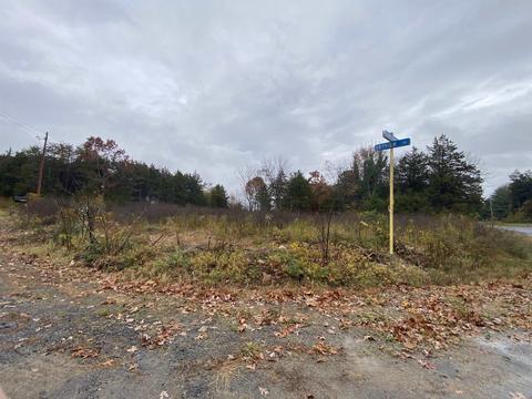 Tbd Skyview Dr, Luray, VA 22835