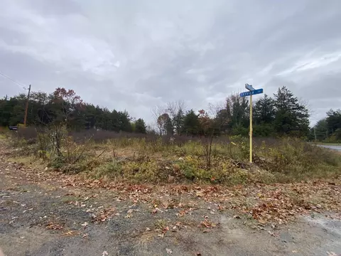 tbd Skyview Dr, Luray, VA 22835