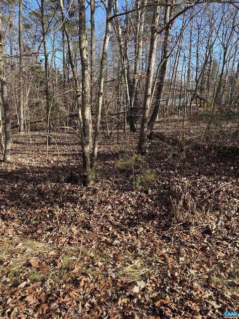 29 Smokewood Dr, Palmyra, VA 22963