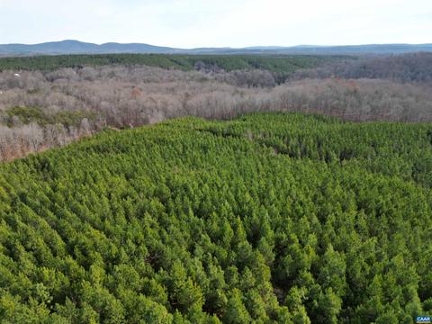 Buck Mountain Ln, Gladstone, VA 24553