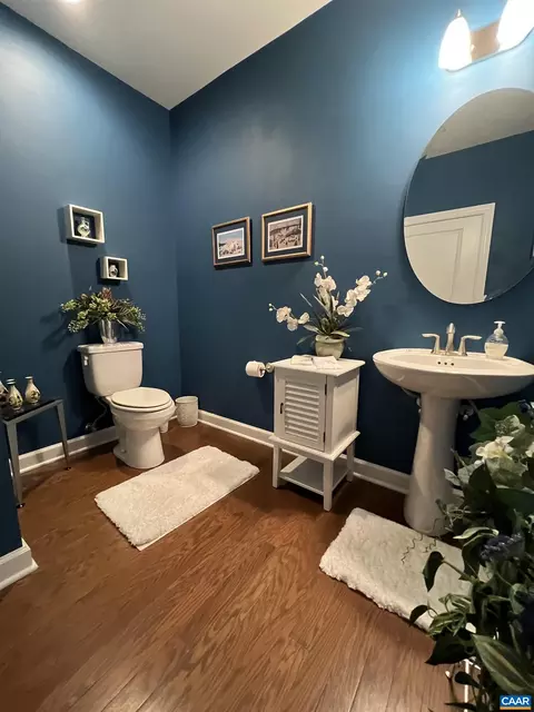 160 Crape Myrtle Dr, Palmyra, VA 22963 photo 18