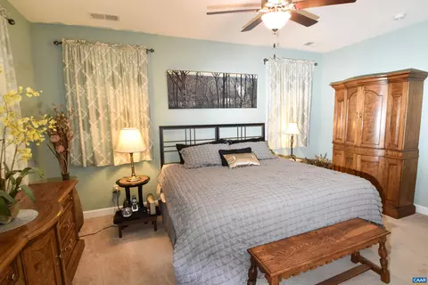 160 Crape Myrtle Dr, Palmyra, VA 22963 photo 14