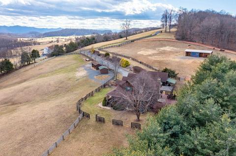 80 Good View Dr, Raphine, VA 24472 photo 3