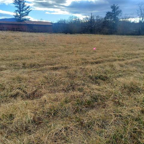 Tbd Spotswood Trl, Elkton, VA 22827