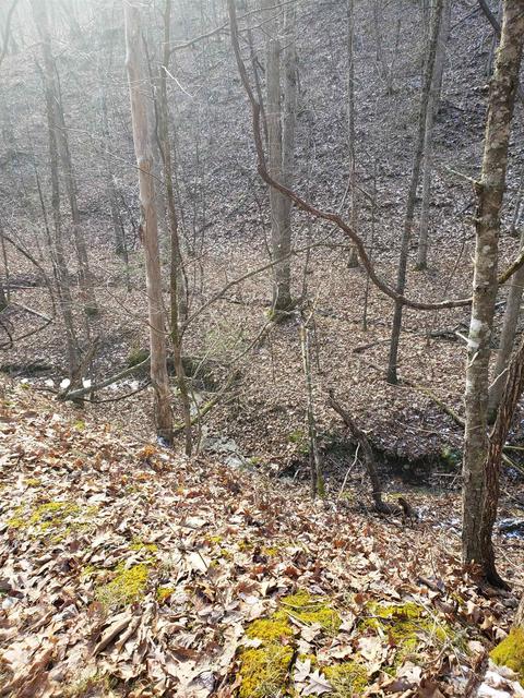 Tbd Little Back Creek Rd, Warm Springs, VA 24484