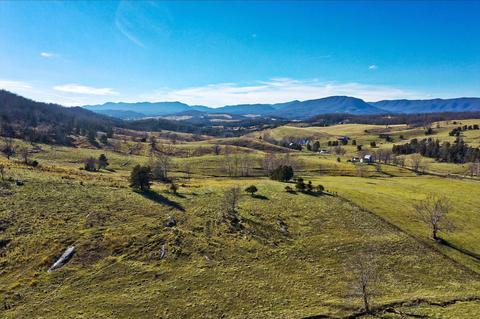 81 Toad Run, Lexington, VA 24450 photo 7