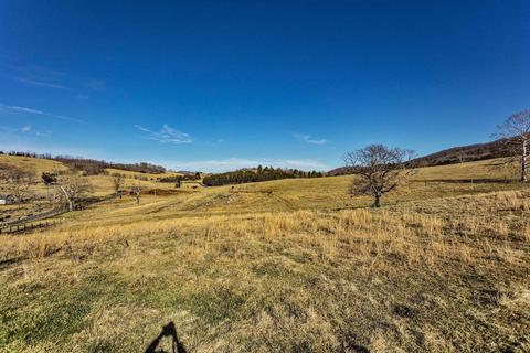 81 Toad Run, Lexington, VA 24450 photo 44