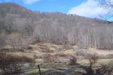 1780 Little Valley Rd, Warm Springs, VA 24484