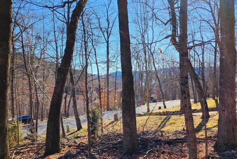 267 Grouse Dr #275, Mcgaheysville, VA 22840