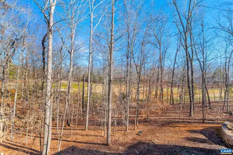33 Mulligan Dr, Palmyra, VA 22963 photo 56