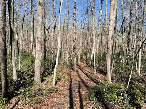 Tbd Green Creek Rd, Schuyler, VA 22969