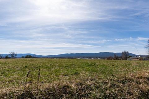 Tbd Wayne Ave, Stuarts Draft, VA 24477 photo 74