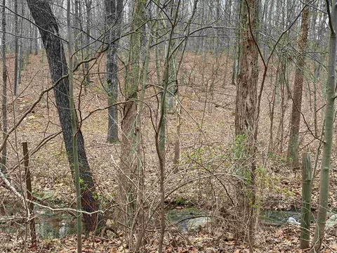 tbd Flat Rock Rd, Waynesboro, VA 22980