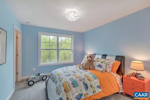 3700 Thicket Run Pl, Charlottesville, VA 22901 photo 18