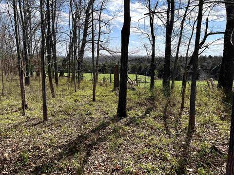 Tbd Knightly Ln, Mount Sidney, VA 24467