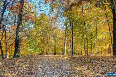 1334 Pendleton Ct, Charlottesville, VA 22901 photo 66